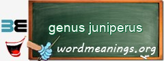WordMeaning blackboard for genus juniperus